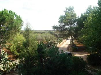 panoramica