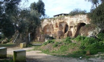 16520-1-lama-dantico-fasano