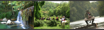 agriturismo_piscina_basilic