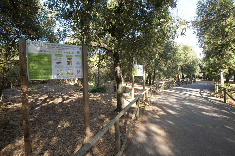 Bosco delle Pianelle