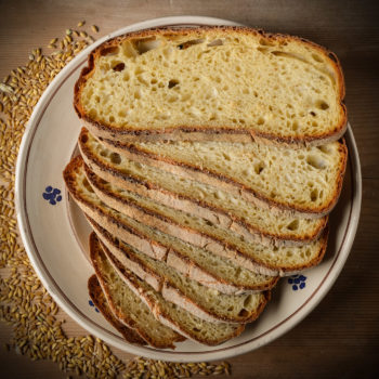 Pane di Laterza Puglia