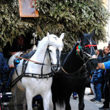 Festa S. Giuseppe - Carrettieri