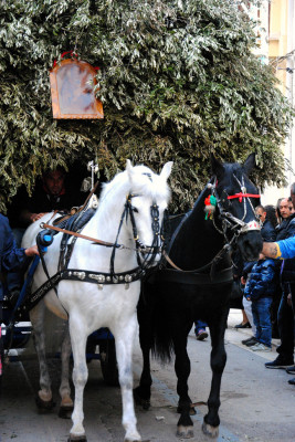 Festa S. Giuseppe - Carrettieri