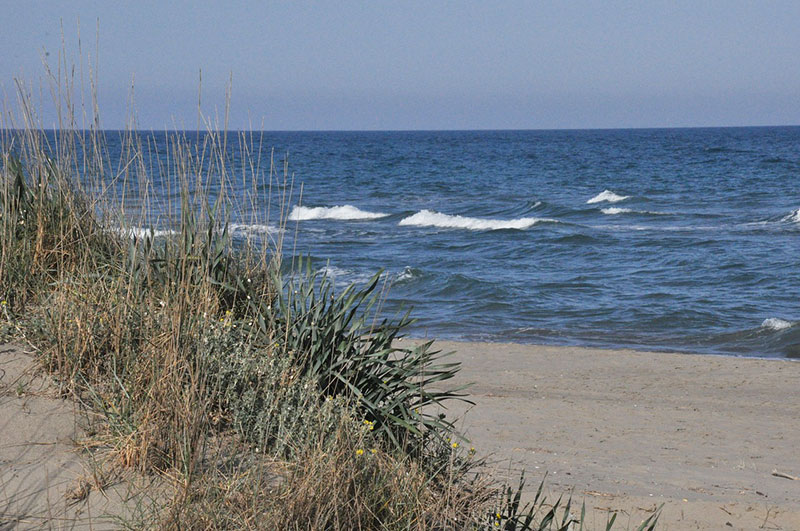 Spiagge Basilicata