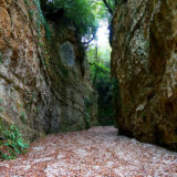 Canyon del Gargano