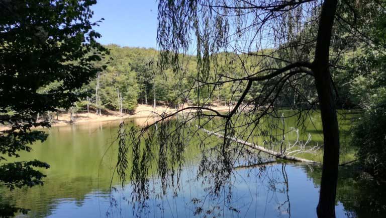 La foresta Umbra a Vieste