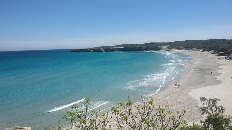 spiagge cani Salento