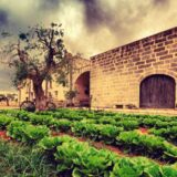 vacanze green in Salento