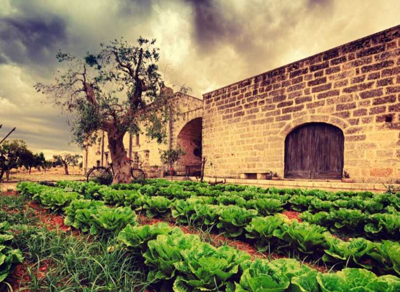 vacanze green in Salento